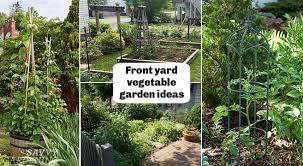 Adorned beds with beautiful designs don't contribute much in terms of practicality, but make your garden more appealing to the eyes. Front Yard Vegetable Garden Ideas Grow A Mix Of Food And Flowers