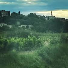 Le Vivier Le Grau Du Roi A Great Fish House In The South Of France B A Alexander Lobrano