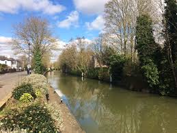 Who lives in boulters lock island, maidenhead, sl6 8pe? Meet The Animals Of Ray Mill Island Maidenhead Toddle Doddle