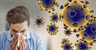 This is why it is so important to wear a face mask and practice physical distancing and hand hygiene. How Does Covid 19 Manifest And What Can You Do If You Begin To Show Symptoms The Daily Wildcat