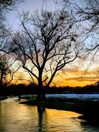 Sunset In Englischer Garten Munich Germany 16 January 2019 Licensed Under Creative Commons Attribution Noncommercial Noderivs 3 0 Germa Sunset Sunrise Photo