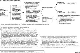 The pancreas is an organ that releases enzymes involved with digestion, and hormones to regular blood sugar levels. Prostate Cancer Version 2 2019 Nccn Clinical Practice Guidelines In Oncology In Journal Of The National Comprehensive Cancer Network Volume 17 Issue 5 2019