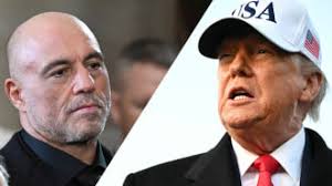 Texas Rangers Could Use