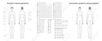 Used for touching things chest: Womens Measurements Fashion Terminology Illustration For Lady Royalty Free Cliparts Vectors And Stock Illustration Image 139798661