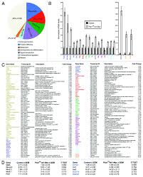 Full article: Elevation of transcription factor Islet-1 levels in vivo  increases β-cell function but not β-cell mass