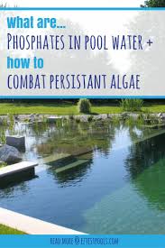 If You Have A Green Or Cloudy Pool And Just Cannot Seem To Get The Algae In Your Swimming Pool Water To Go Swimming Pool Water Pool