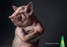 The jury has considered popularity, creativity, and efficiency. 30 Best Animal Advertising Designs And Creative Ads Around The World