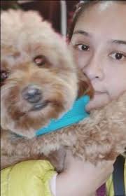 If the puppy costs $1000 and you get the puppy protection package for $50, your credit card fee is $42 ($1050 x.04 = $42) so the total amount you will pay is $1092 before tax. Pet Grooming In Taiwan Insured On Petbacker