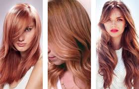 Ombre hair colors are still in trends and you can achieve eye catching look with this platinum ombre hair color. 60 Sensational Rose Gold Hair Color Ideas For 2020 Yve Style Com
