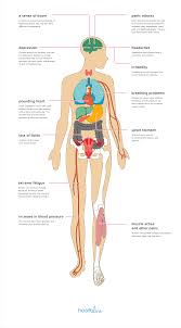 physical effects anxiety diagram reading industrial wiring