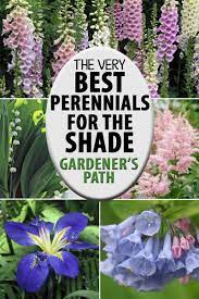 Small perennial flowers for shade. The Best Flowering Perennials For The Shade Gardener S Path