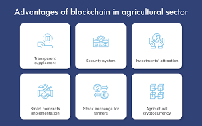 It is the lifeblood of every transaction. Advantages Of Integrating Blockchain Technology In Agriculture