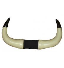 We did not find results for: Cuernos De Toro Comprar Online En Lacasadelasfiestas Com