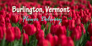 Based on 1 ratings 2 howard st ste a1, burlington, vt 05401 802.999.3630. The 7 Best Options For Flower Delivery In Burlington Vermont 2021