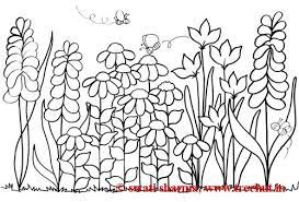 Pole vault color by number. Grab Your Fresh Coloring Pages Garden For You Https Gethighit Com Fresh Coloring Pages Garden For You Garden Coloring Pages Coloring Pages Colorful Garden