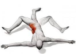 Dynamic Stretching Scorpion Low Back Exercises Back Exercises Hip Workout