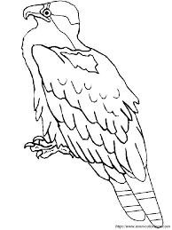 coloriage de oiseau dessin le balbuzard pecheur a colorier coeur ballon