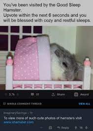 cursed_hamster : r/cursedcomments