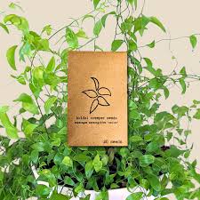 Image result for Smilax