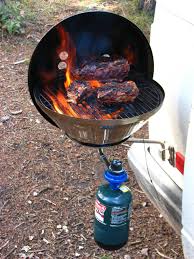 Small propane tank for portable grill. Thesamba Com Vanagon View Topic Portable Propane Grills