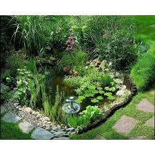 Ubbink Kit Bassin De Jardin 500 Litres Bassin De Jardin Jardin D Eau Jardin Aquatique