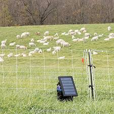 The electric fence in wildlife management newly designed electric fences file fencing tester challenge rff team the electric fence in wildlife management electric electric fence energizer installation and operating instructions. Proven No 1 Raccoon Deterrent An Electric Dog Fence