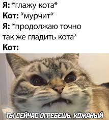 pin ot polzovatelya phellea na doske zhiza memy veselye memy smeshnye otkrytki