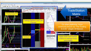 tradestation options trading tutorial hahn tech llc