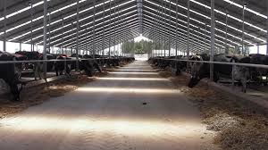 Check spelling or type a new query. Quigley Contracting New Zealand Contracting Blog The Farming Forum