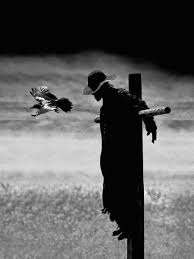 Black And White Horror Movies List Dark And Windy Night Found On Pinterest Com Jeepers Creepers Creepers Horror Movies