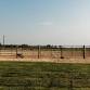 Schumacher Stables Award Series by CEP