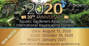 List of all entries in all categories can be found here: Aga Aquascaping Contest