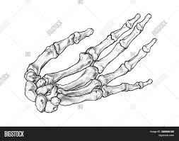 It is a little different this time. Freehand Observational Image Photo Free Trial Bigstock