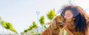 Veterinarian in Suwanee, GA