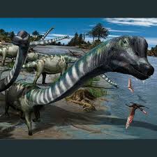 Image result for Warneckea albiflora