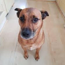 Amanda Newby (anewby001)