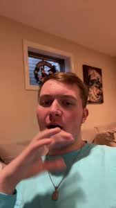 Chicago Bears Fan Experience at the Game