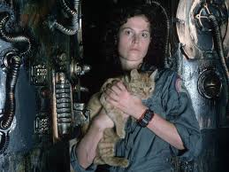 Ellen louise ripley, often referred to simply as ripley, is a fictional character and protagonist of the alien film series, played by american actress sigourney weaver. Why Alien 5 Is The Send Off That Ripley Deserves