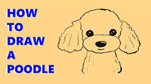 This video is intended for children and parents who want to teach their kids.for watching how to. How To Draw A Poodle Puppy For Kids Youtube