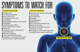 Malaysian endocrine and metabolic society. Thyroid Disorders Are More Common In Malaysia Than You Might Think Laptrinhx News