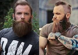 How to style a viking beard. Viking Beard Tips And Styles