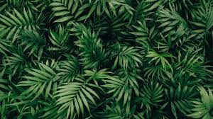 Anda penasaran bagaimana cara mengubah background zoom di hp? 31 Free Zoom Virtual Backgrounds How To Change Your Zoom Background