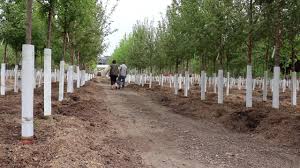 Locally owned and operated, we supply contractors and homeowners with all of their natural stone and landscape. 12 Victory Greens Meridian Idaho Ideas Idaho Meridian Greens