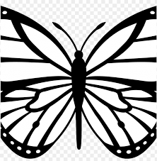In this exercise, your child should trace the lines and color the picture. Traceable Butterfly Images With Free Butterfly Wing Butterfly Line Art Png Image With Transparent Background Toppng