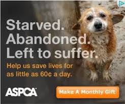 Aspca6 Jpg 301 251 Aspca Animals Ethos Pathos Logos