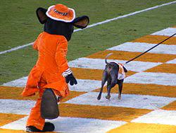 Maybe you would like to learn more about one of these? Smokey Mascot Wikipedia