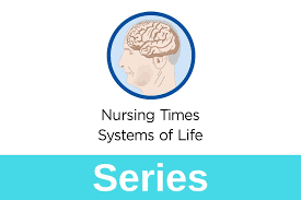 Anatomy And Physiology Of Ageing 5 The Nervous System Nursing Times