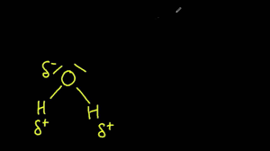 The polarity of the water molecule is what gives water its unique properties. 2 2 Water Molecules Are Polar And Hydrogen Bonds Form Between Them Youtube