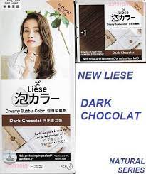 I bought this hair dye not so recently but i didn't got to use it, so my roots were showing my previous hair dye was already washout i decide it to give it a try. New Liese Creamy Bubble Hair Dye Dark Chocolate Lazada Singapore