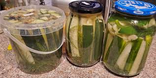 I can't seem to get it right! Easy Refrigerator Pickles The Plant Based Bear